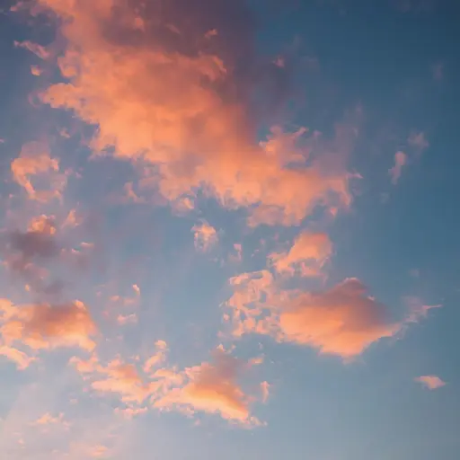 Keeping Your Shiba Inu Cool in Australian Summer: Heat Safety Guide